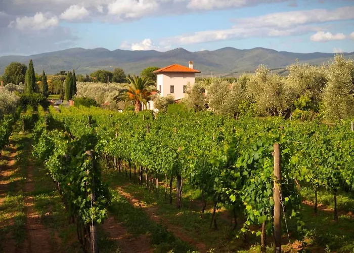 La Cipriana