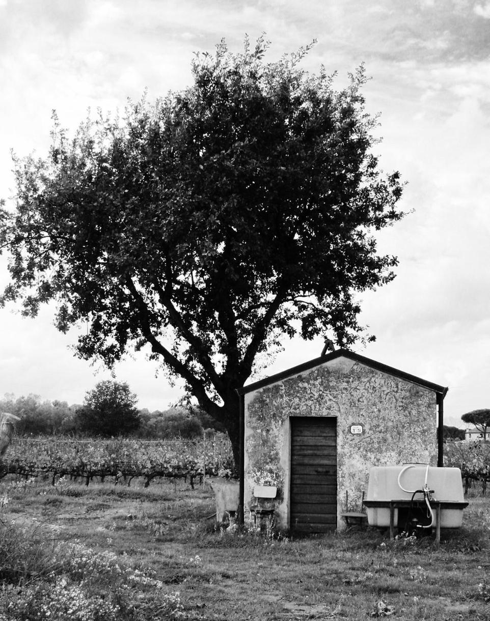 La Cipriana Farm stay *
