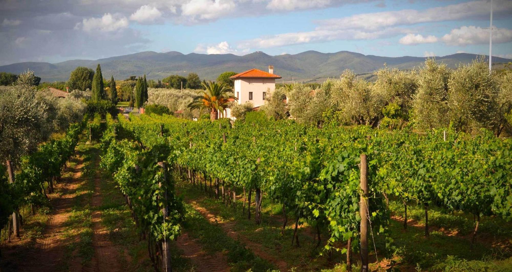 Farm stay La Cipriana